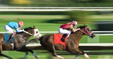 Commission will meet June 2 to consider a new horse racing track
