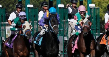 Massachusetts horse race fund audit