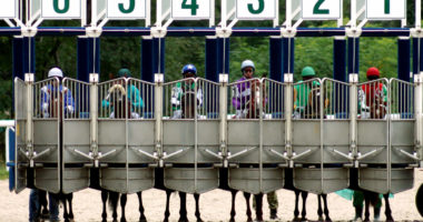 racing horses at starting gate