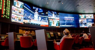 Massachusetts Sports Betting Launch to Come After Week 4 of NFL Season
