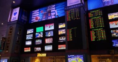 Gaming group argues adverse effects of inaction on sports betting