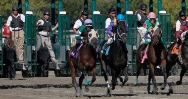 horse-racing-massachusetts-sports-betting